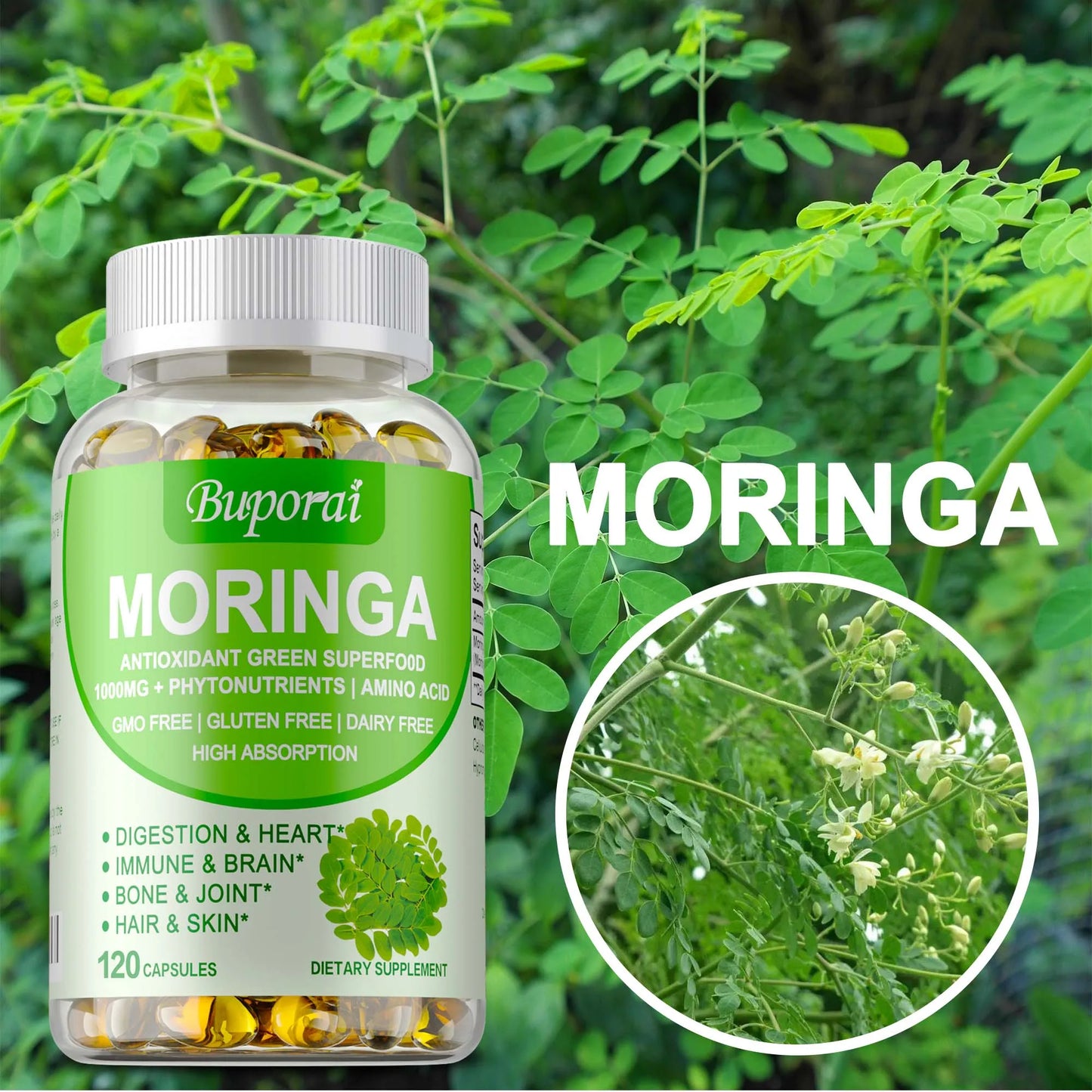 Moringa - Metabolism Natural Anti-inflammatory Fat Burn,Helps Detox, Immune System Health - 120 Capsules