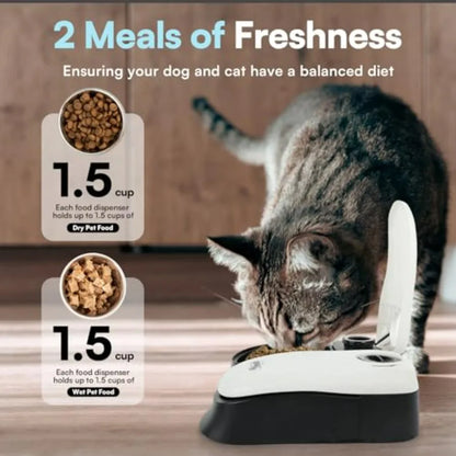Automatic Cat and Dog Feeder with 1.5Cup Capacity for Scheduled Meals or Treats 48Hour Timer Functionality Ideal for Daily Feed