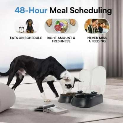 Automatic Cat and Dog Feeder with 1.5Cup Capacity for Scheduled Meals or Treats 48Hour Timer Functionality Ideal for Daily Feed
