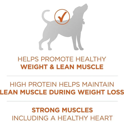 Plus Healthy Weight High-Protein Dog Food Dry Formula - 40 lb. Bag