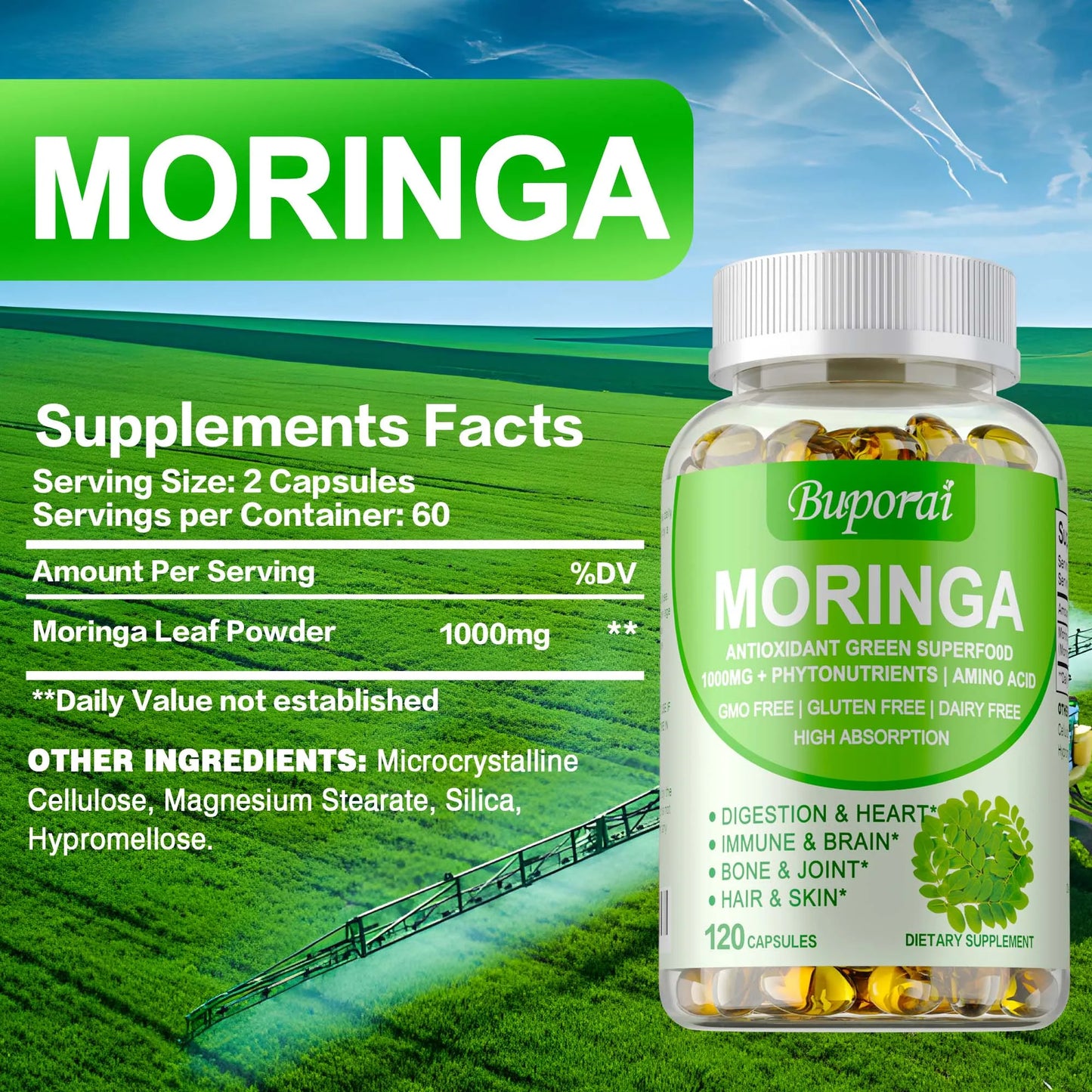 Moringa - Metabolism Natural Anti-inflammatory Fat Burn,Helps Detox,  Immune System Health - 120 Capsules