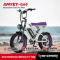 AMYET V9-G60 Adults Electric Bike 1000W Motor Bicycle 48V 20AH 20“ Tire Ebike Electric E Bikes Mountain Moped Ebikes For Men
